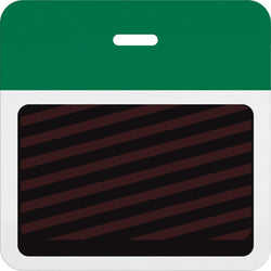 Slotted expiring badge back with printed green bar